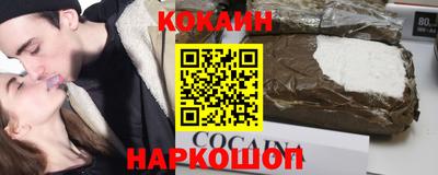 мдпв Кингисепп