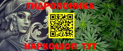 2c-b Кинель