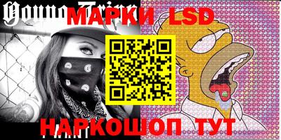мдпв Кингисепп