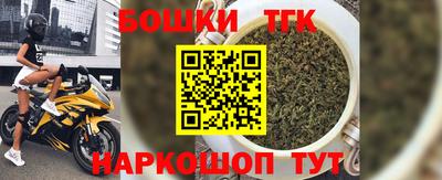 мдпв Кингисепп