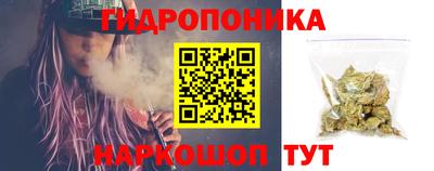 мдпв Кингисепп