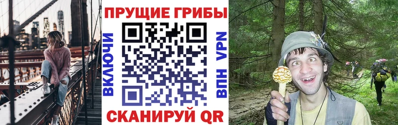 как найти закладки  Лесосибирск  Галлюциногенные грибы GOLDEN TEACHER 